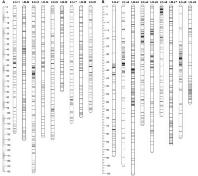 Construction of High-Density Genetic Maps and Detection of QTLs Associated With Huanglongbing Tolerance in Citrus